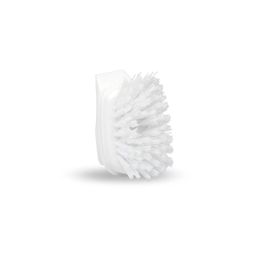 Dish Daddy Brush Head up close